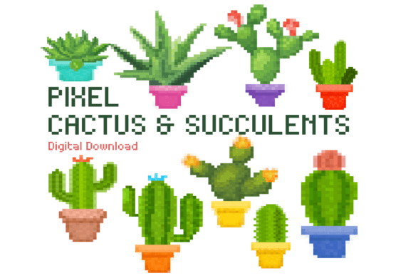 Cactus Succulent Pixel Graphics for Creative Projects